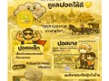ประชาสัมพันธ์ : ลำปาง "ห้ามเผาเด็ดขาด" 1 ก.พ. - 30 เม.ย. 69 Image 1